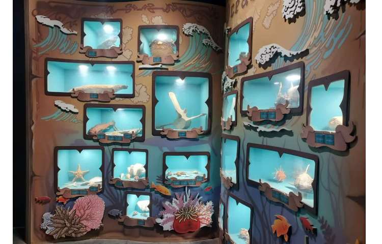 اقیانوس پارک 1