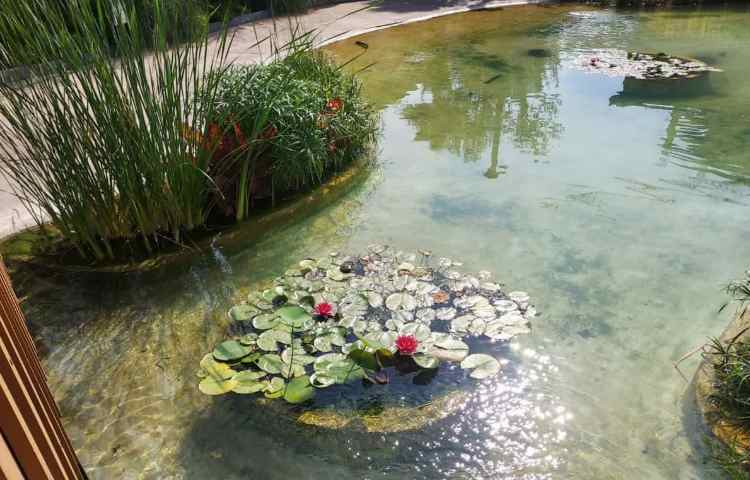 اقیانوس پارک 12