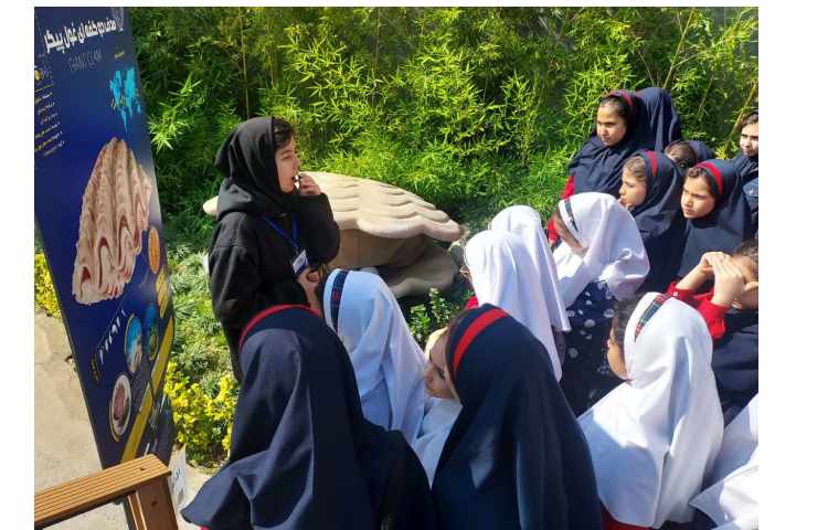 اقیانوس پارک 13