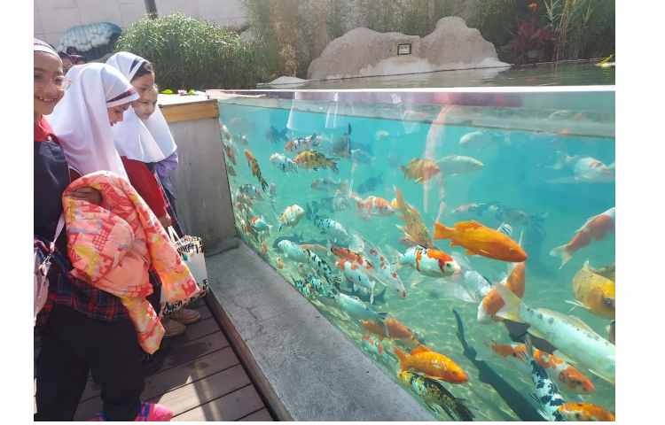 اقیانوس پارک 14