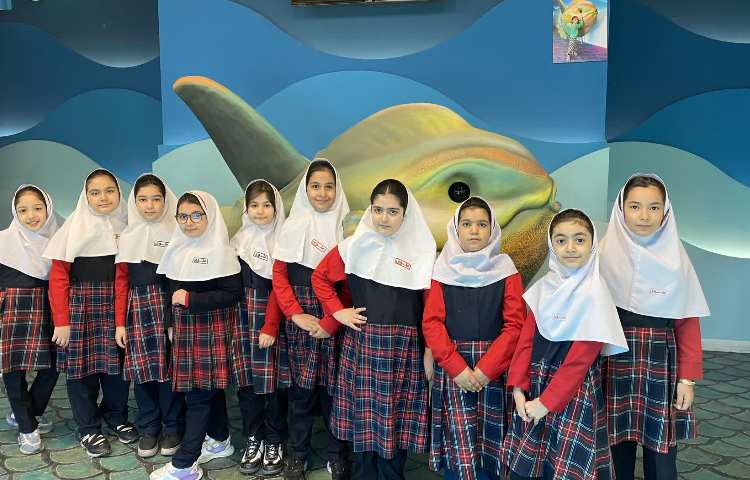 اقیانوس پارک 14