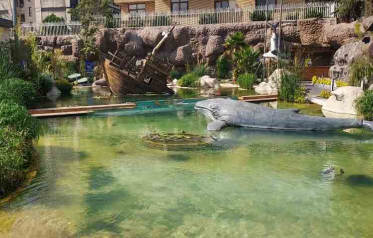 اقیانوس پارک 15