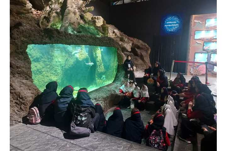 اقیانوس پارک 16