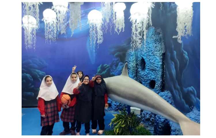 اقیانوس پارک 17