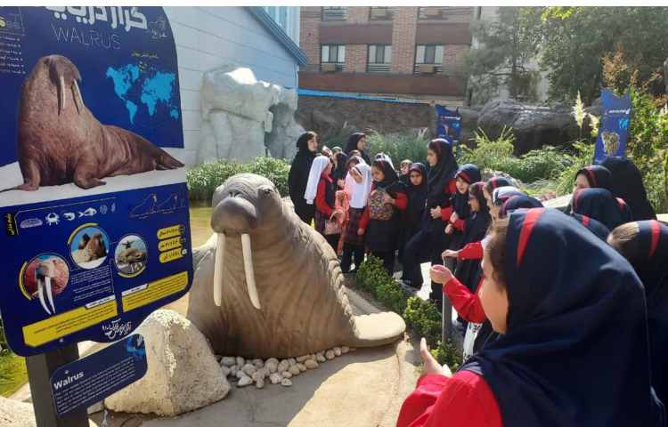 اقیانوس پارک 19