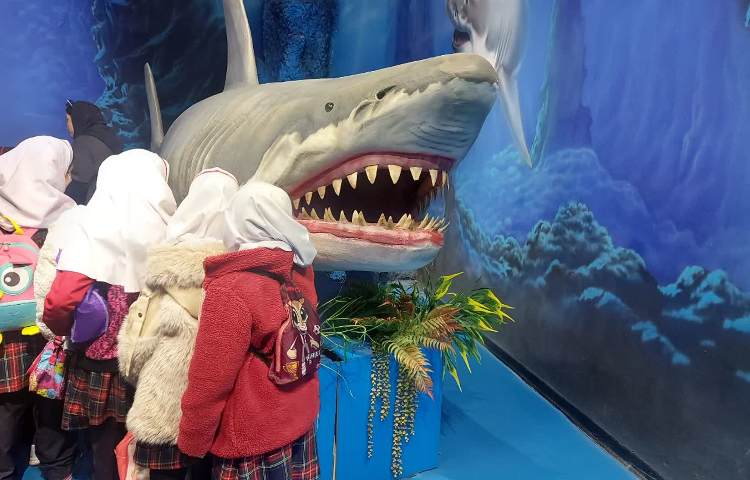 اقیانوس پارک 3