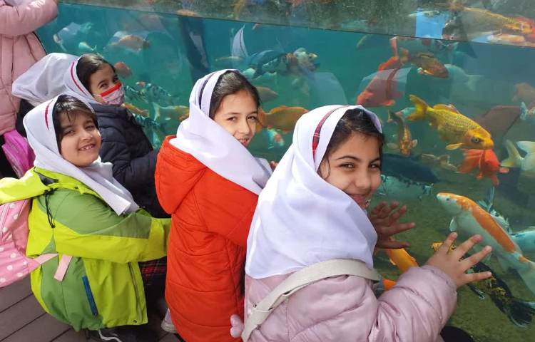 اقیانوس پارک