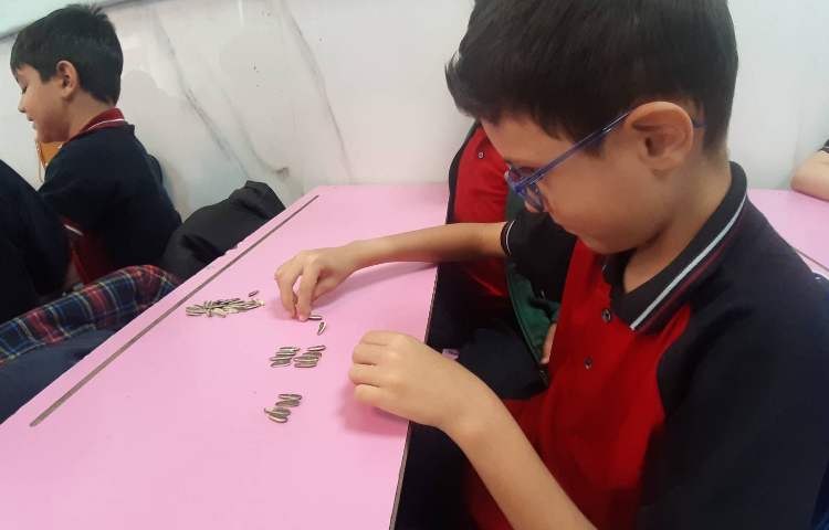 الگویابی (الگوسازی )با ابزارهای مختلف و کاربردی 5