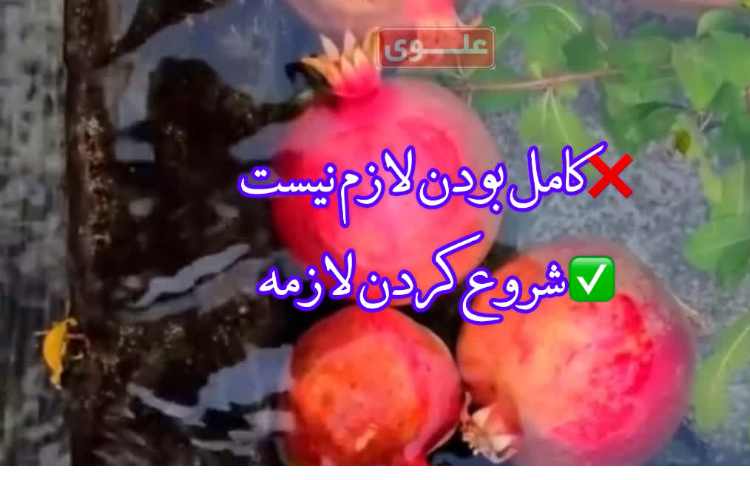 امروز اول مهره.... یک شروع تازه... 3