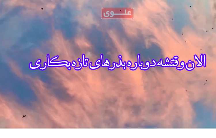 امروز اول مهره.... یک شروع تازه... 5