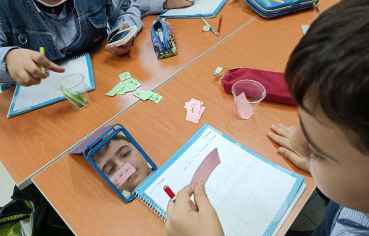 املای آینه‌ای 6