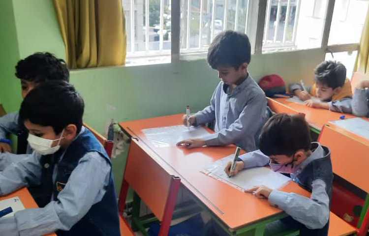 املای تخته کاغذی