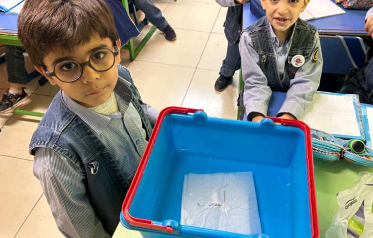 املای جادویی 1