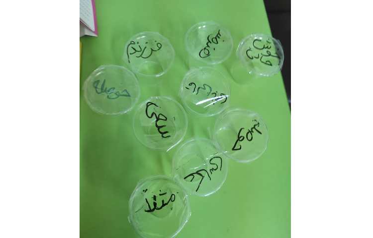 املای خلاق درس هنرمند املای سایه 1