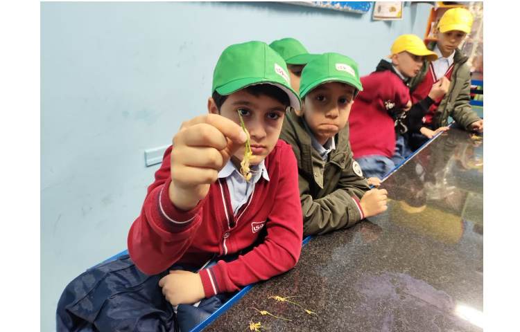 املای خلاق مثلثی ضربی