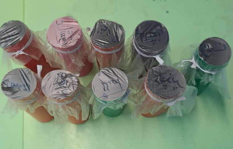 املای خلاق کلمات و جمله سازی توسط دانش آموزان 5