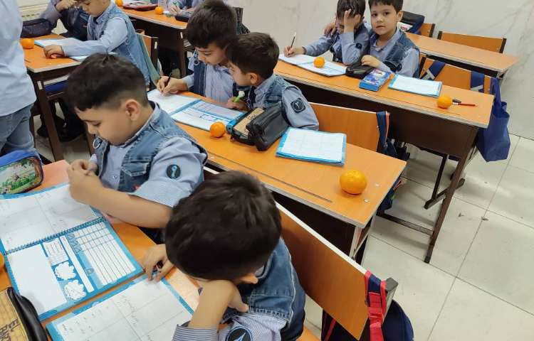 املای مشورتی و تشخیصی 1