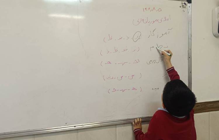 املای موریانه ای(کلمات درست را انتخاب می‌کنند) 1