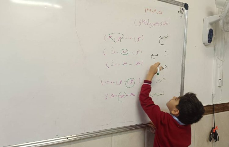 املای موریانه ای(کلمات درست را انتخاب می‌کنند) 3