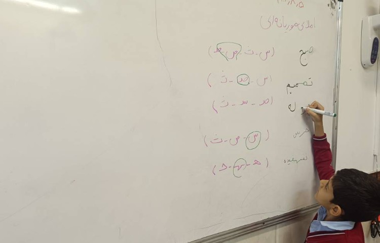 املای موریانه ای(کلمات درست را انتخاب می‌کنند) 4