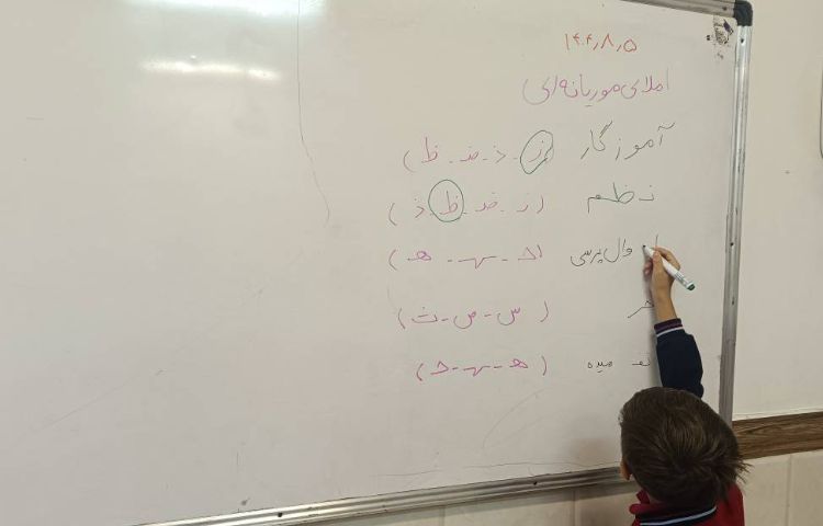 املای موریانه ای(کلمات درست را انتخاب می‌کنند) 5