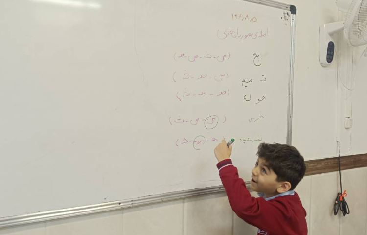 املای موریانه ای(کلمات درست را انتخاب می‌کنند) 6