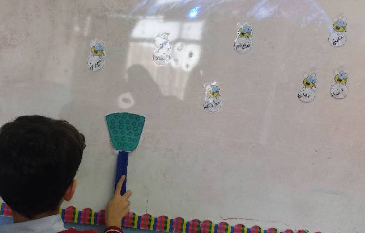 املای مگسی 2