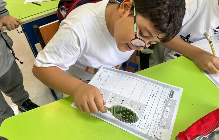 املا آینه ای