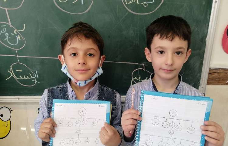 املا : املای خوشه ای 1