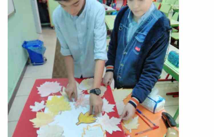 املا پاییزی و دوره ای و گروهی 3