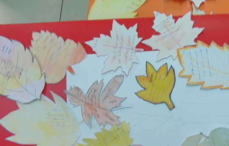 املا پاییزی و دوره ای و گروهی 5