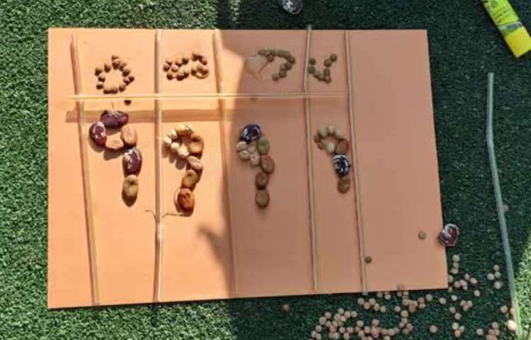 اموزش جدول ارزش مکانی به صورت دست ورزی 3