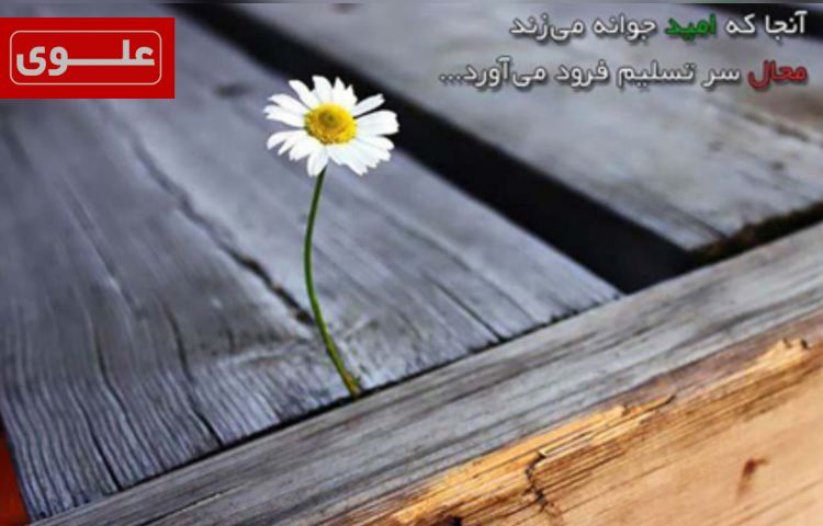 امید به زندگی 2