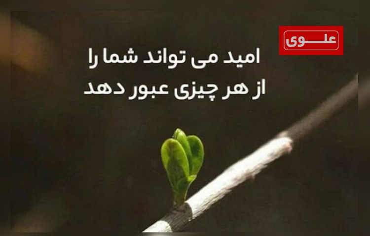 امید به زندگی 3