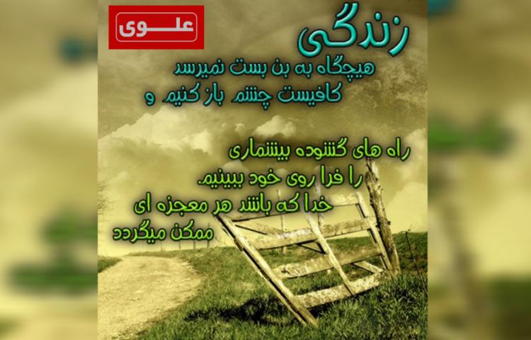 امید به زندگی