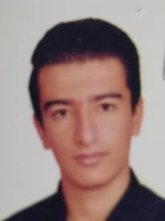 امیررضا فیاضی