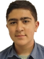 امیرعلی سیاوشی