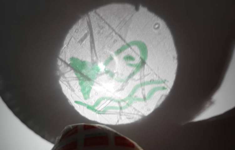 انجام آزمایشات جالب به مناسبت هفته علوم و پژوهش 6