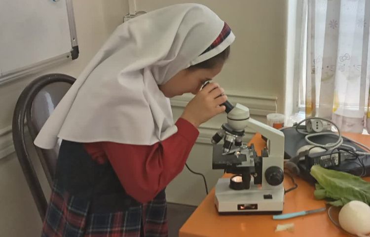 انجام آزمایشات سلول