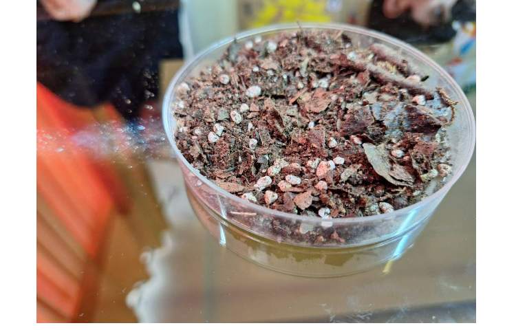 انجام آزمایش انواع خاک ها و میزان نفوذپذیری آن هل 2