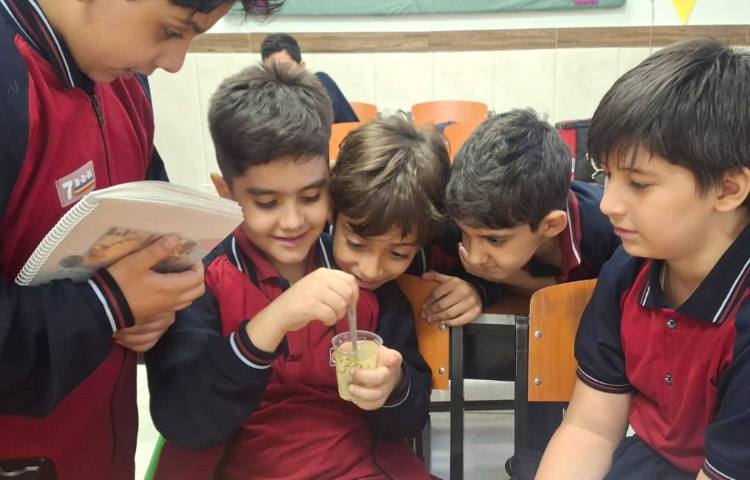 انجام آزمایش انواع مخلوط ها 1