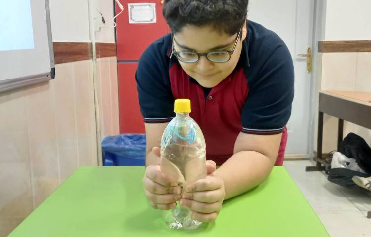 انجام آزمایش برای بررسی مراحل پژوهش 3