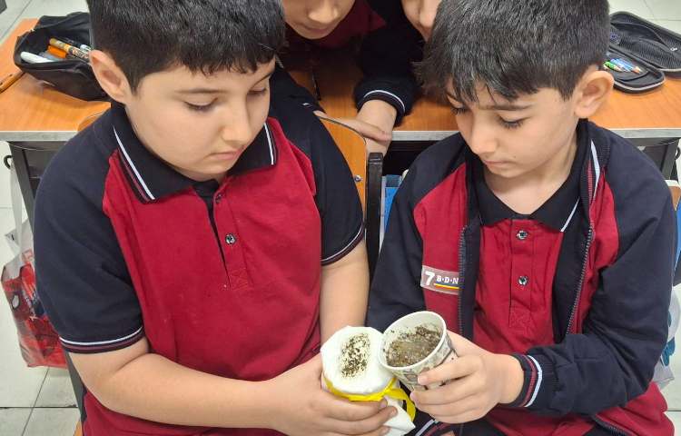 انجام آزمایش درس دوم علوم(جداسازی مخلوط ها) 3