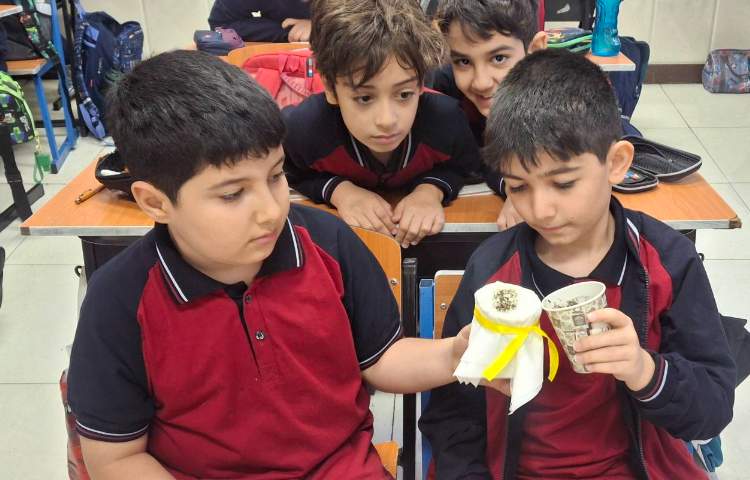 انجام آزمایش درس دوم علوم(جداسازی مخلوط ها) 5