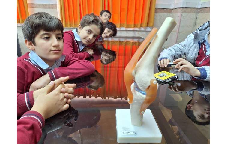 انجام آزمایش ساختار بدن 1