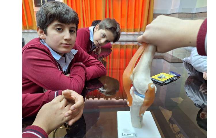 انجام آزمایش ساختار بدن 2