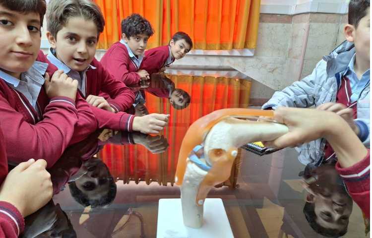 انجام آزمایش ساختار بدن