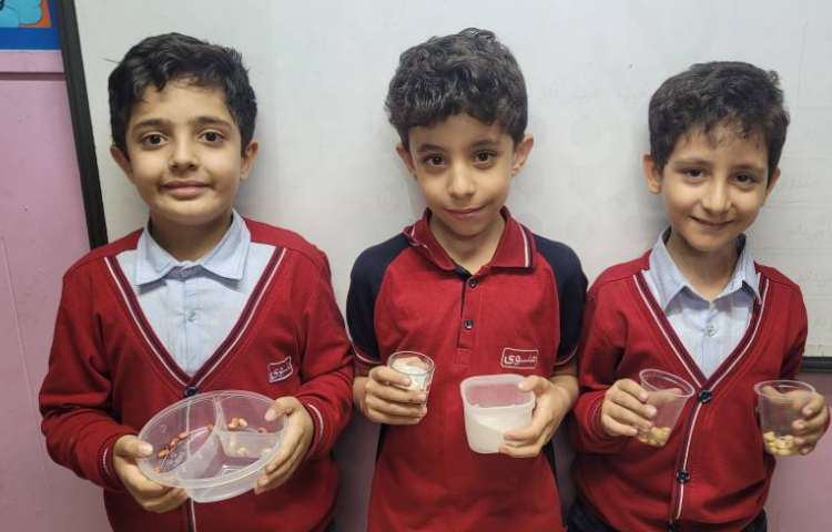 انجام آزمایش مقایسه‌ی رشد دانه‌ی لوبیا در نور آفتاب و محیط یخچال 2