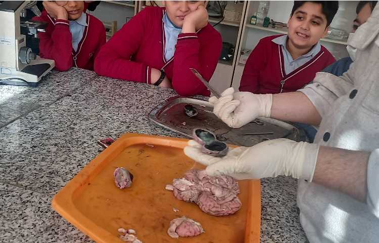 انجام آزمایش‌های علمی در پژوهش‌سرا 4