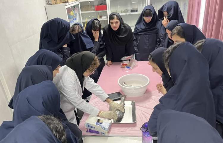 انجام تشریح ماهی